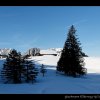 20080120_348